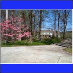 sisters-house-tennessee.jpg