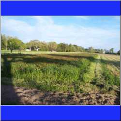 uchee-pines-farm.jpg