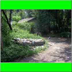 crow-in-salisbury-park-sda-trash-heap.jpg