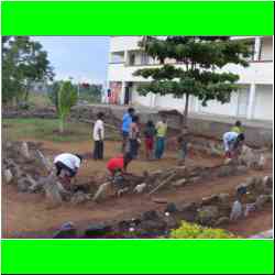 gardening-springs-of-love.jpg