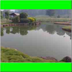 japanese-garden-pune.jpg