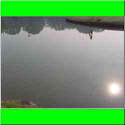 sun-reflection.jpg