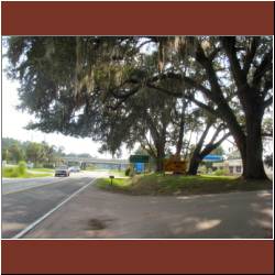 fan-of-spanish-moss.jpg