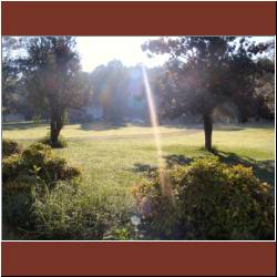 morning-light-on-diamonds-grass.jpg