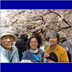 friends-under-cherry-blossoms.JPG