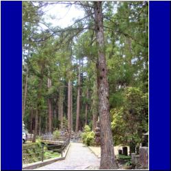 mt-koya-cemetery.JPG