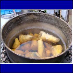 pot-of-bamboo-shoots.JPG