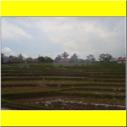 countryside-indonesia.JPG