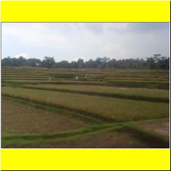 countryside-view-train-from-bandung-to-jakarta.JPG