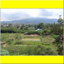 tangkuban-perahu-volcano-bandung.JPG