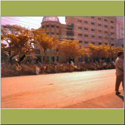 no-cars-cross-here.jpg