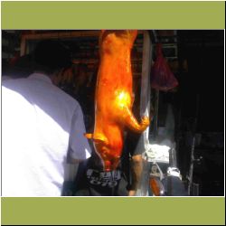 poor-piggy.JPG
