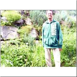 sequoia-dandelions.JPG