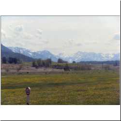 swiss-alps-from-train.JPG