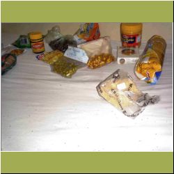 ants-in-food.jpg