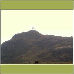 one-tree-mountain.JPG