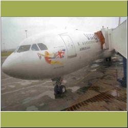 virgin-airplane.jpg