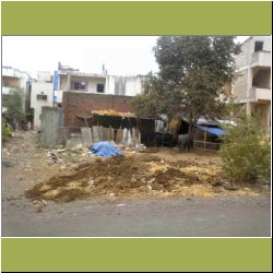 water-buffalo-front-k-house.jpg