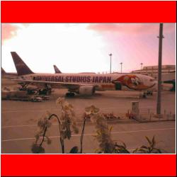 flying-woody-woodpecker-in-japan.jpg