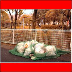 how-japanese-put-out-the-garbage.jpg