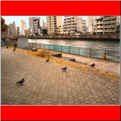 lunch-guests-kyobashi.jpg