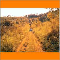 inspecting-land-near-waing-pa-pao.jpg