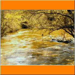 river-around-wpp-property.jpg
