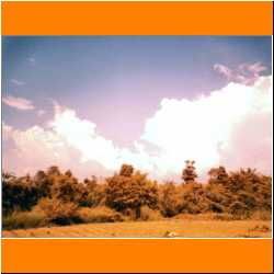 waing-pa-pao-property1.jpg