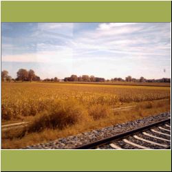 german-flat-cornfields.jpg