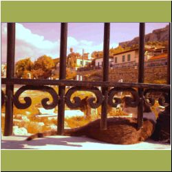 watch-cat-of-athens2.jpg