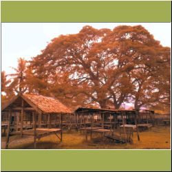 malaysia-sabah-country-market.jpg