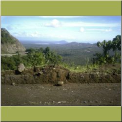 beautiful-palm-valley-philippines.jpg