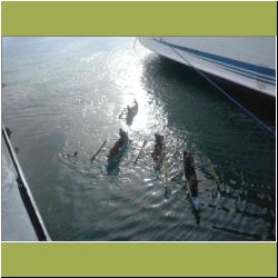 begging-from-boats-cayagan-de-oro.jpg