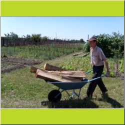 danny-hauls-wood.JPG