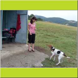 jumpy-dog.JPG