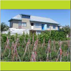 romanian-country-house.JPG
