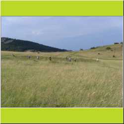 this-is-the-way-we-mow-the-hay.JPG