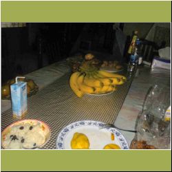 bananas-on-stalk.jpg
