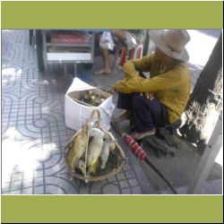 honeycomb-seller.jpg