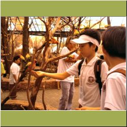 j-k-w-g-feeding-parrots-safari-world.jpg