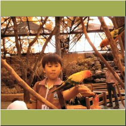 m-feeding-parrots-safari-world-bangkok.jpg