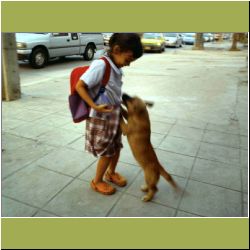 puppy-after-school.JPG