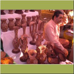 apricot-half-shell-objects.jpg