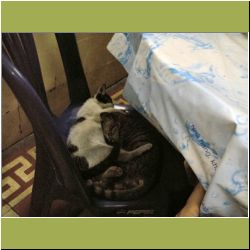 restaurant-patrons.jpg