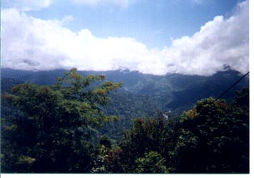 A beautiful view from my hotel window in Kalimpong India