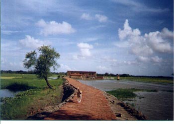 The seminary, orphanage, and church going up in regal isolation in the midst of rice paddys